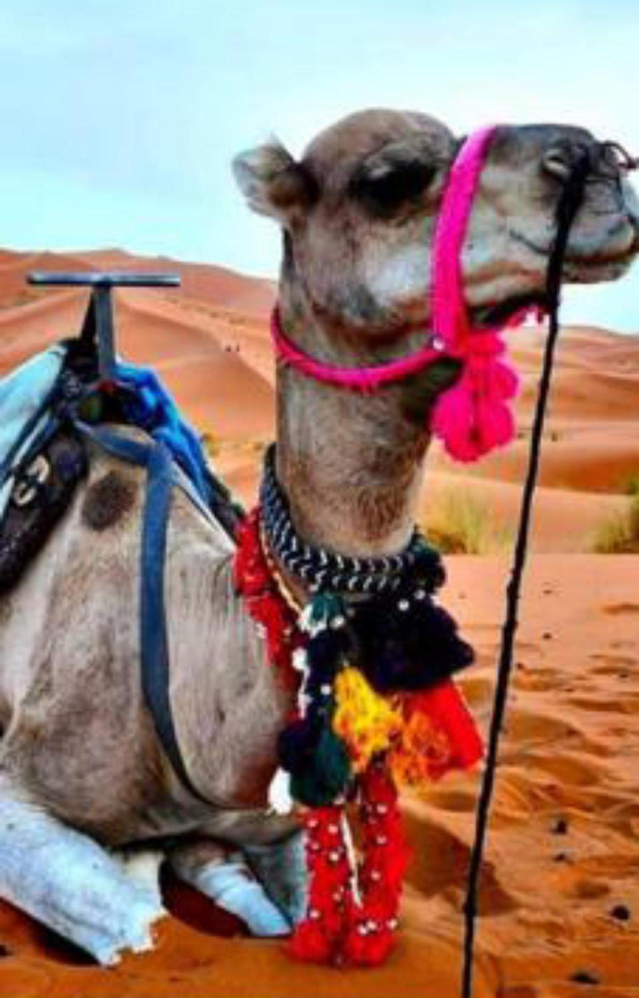 Luxury Desert Camp メルズーガ エクステリア 写真